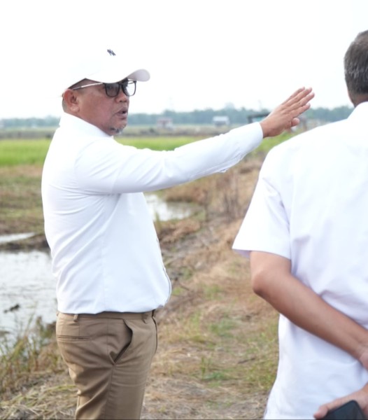 Bupati Pelalawan Tinjau Kawasan Persawahan Untuk Pengembangan Sentra Pangan Dan Wisata