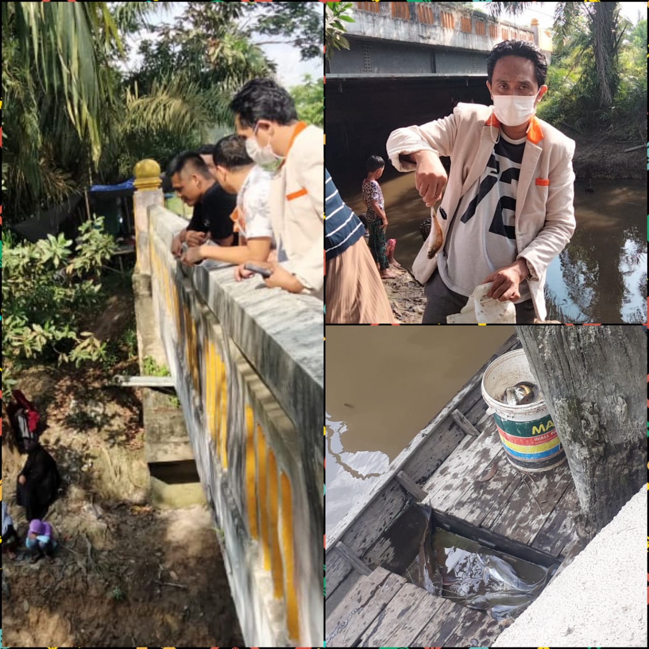 Ribuan Ikan Mabuk di Sungai Pangkalan Kerinci, Apa Penyebabnya?