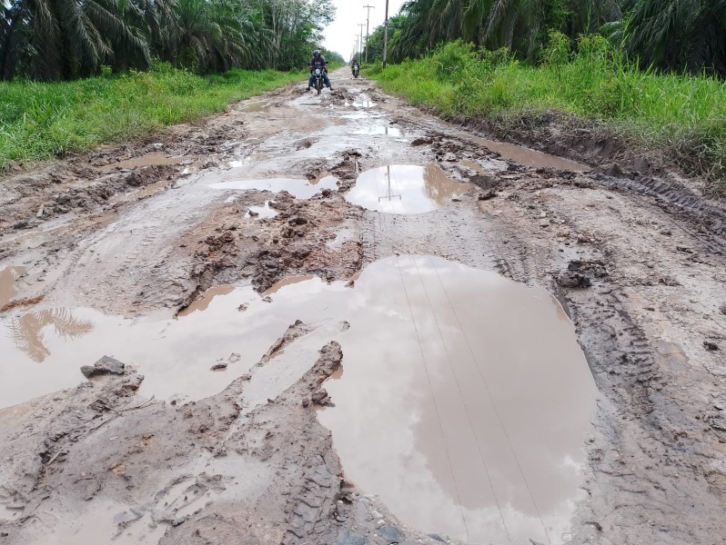 Minta Perhatian Bupati Pelalawan, Begini Kondisi Akses Jalan Menuju Desa Sungai Ara