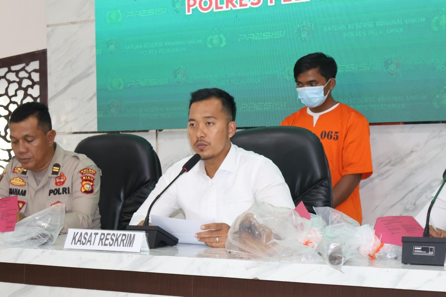 Aksi Jagal Anjing Terbongkar, Polres Pelalawan Amankan Pelaku di Pangkalan Kerinci