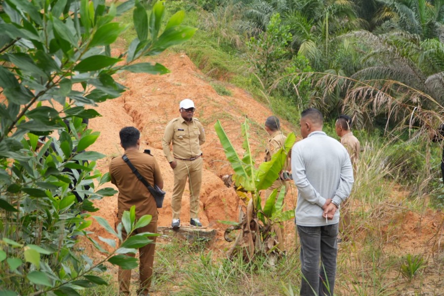 Bupati Pelalawan Tinjau Jalan Pintas Desa Kemang – Desa Meranti, Minta Dukungan Perusahaan untuk Percepatan