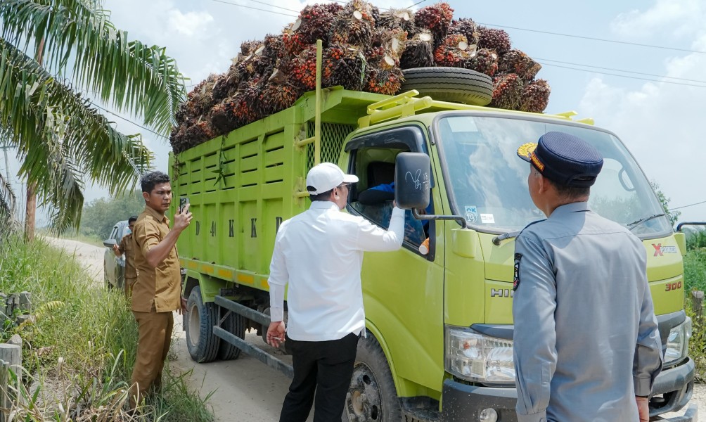 Bupati Zukri Murka, Jalan Rusak Parah Diduga Akibat Truk Sawit Overload