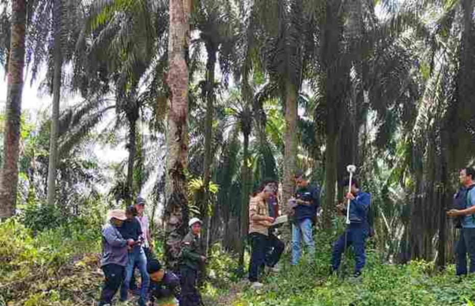 Diduga Kuasai Lahan Diluar HGU,  PT. Serikat Putra di Bandar Petalangan Diukur Ulang