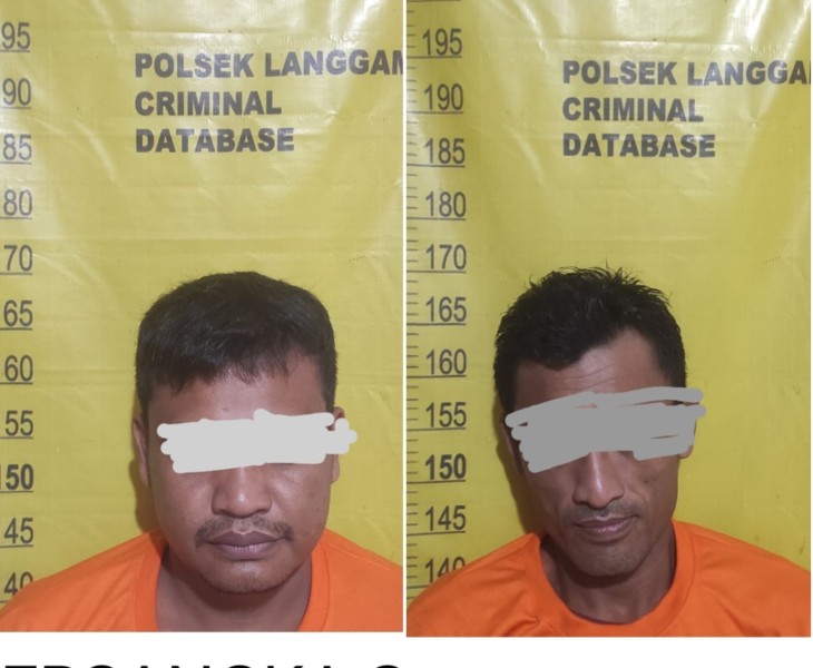 Polsek Langgam Amankan Dua Pelaku Pencurian Sawit di Kebun PT MUP