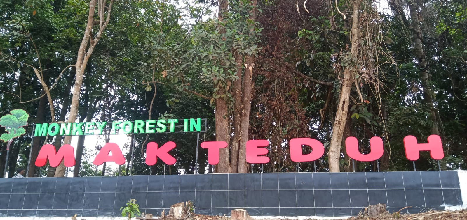 Desa Makteduh Punya Monkey Forest Mirip Seperti Hutan Monyet di Bali