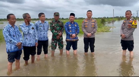 Dihantam Banjir Akses Jalan Kelurahan Langgam, Camat Maskandar Imbau Warga Gunakan Jalan Alternatif Ponton RAPP