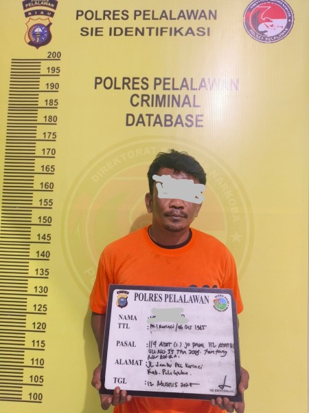 Perang Narkoba di Pelalawan: Polisi Ciduk Pelaku, Amankan 8 Paket Sabu