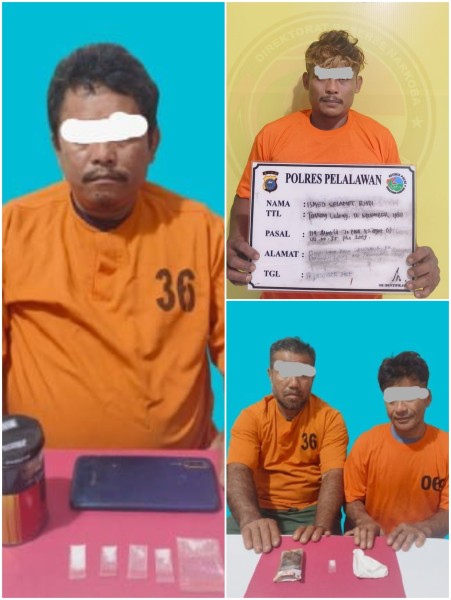 Polres Pelalawan Amankan Empat Pengedar Narkoba, Sita 8 Paket Sabu