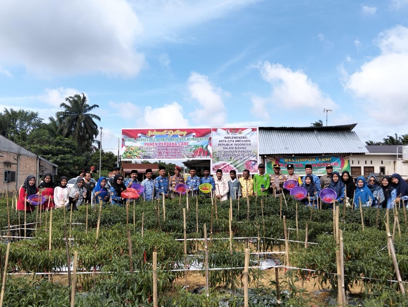 Panen Raya Perdana: Sinergi Baznas Dengan Forkopimcam Bandar Seikijang Wujudkan Ketahanan Pangan