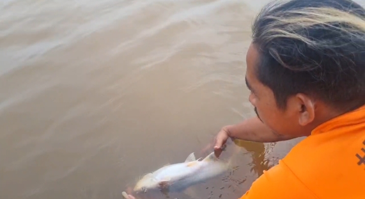 Warga Minta Presiden Prabowo-Gibran Perhatikan Fenomena Ikan Mati di Sungai Kampar