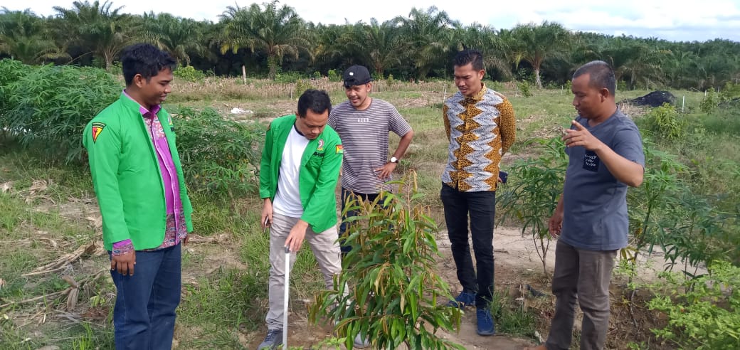 Anggota DPRD Pelalawan Apresiasi Petani Pengembangan Durian di Desa Segati