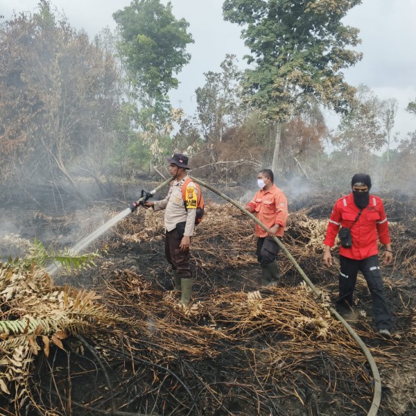Upaya Penanganan Karhutla, Tim Gabungan Polres Pelalawan Berjibaku Padamkan Api di Desa Sungai Ara