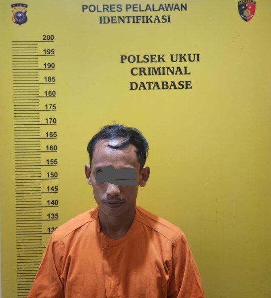 Polsek Ukui Bongkar Sindikat Mobil Bodong, Pelaku Ditangkap Tanpa Perlawanan