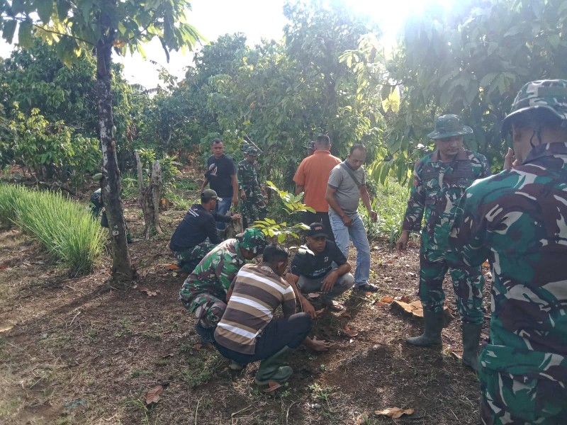 Dukung Ketahanan Pangan Berkelanjutan, Satgas TMMD Ke-129 Kodim 0102/Pidie Tanam Pohon Produktif Bersama Warga