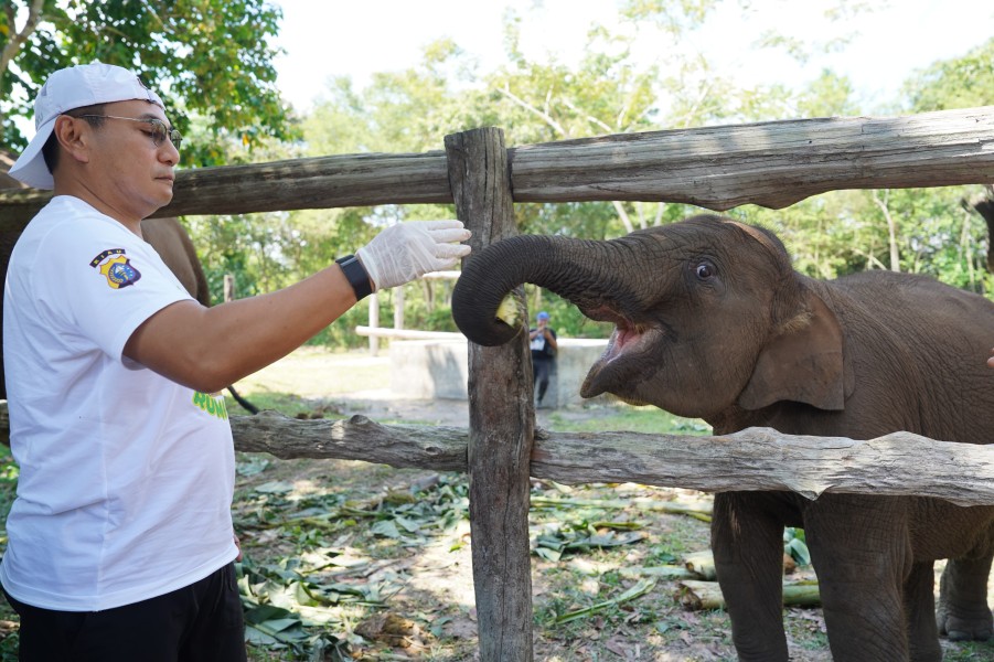 Kunjungi Taman Nasional Tesso Nilo, Kapolda Riau Serukan Perlindungan Gajah dan Lingkungan
