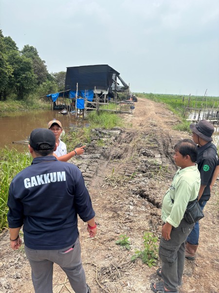 DLH Turun Cek 6 Titik Anak Sungai di Kuala Terusan Diduga Ditutup PT PHI