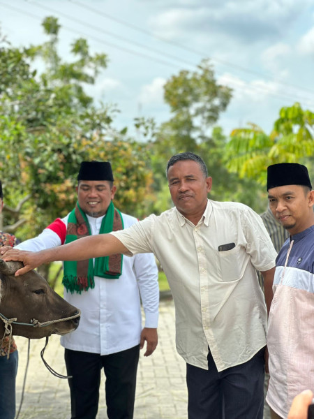 Bupati H Zukri Serahkan 8 Ekor Sapi Kurban dan Kambing ke Masjid di Kecamatan Pangkalan Kerinci