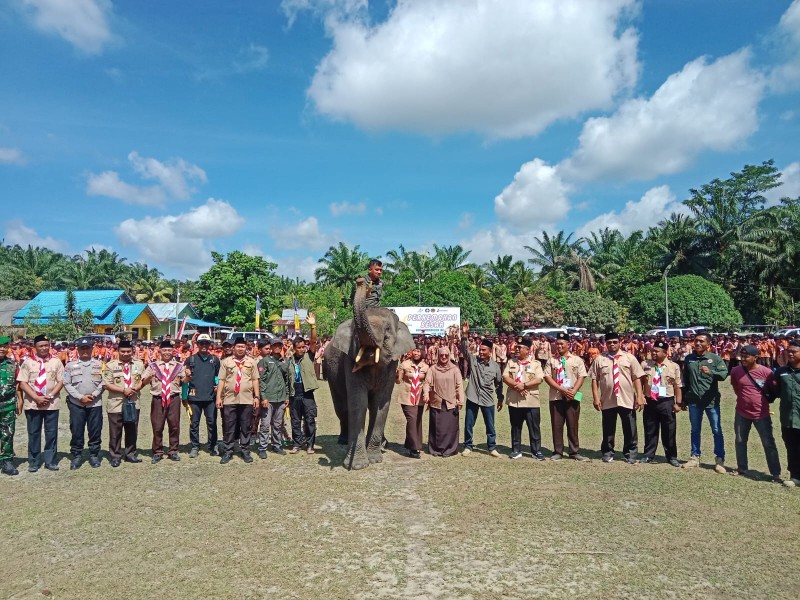 Hari Pramuka ke-64 di Ukui: Maskot Gajah Jadi Pusat Perhatian