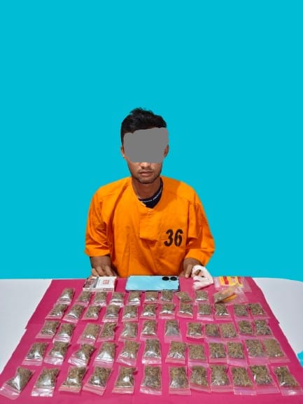 Digerebek Saat Diduga Edarkan Ganja, Pria di Pangkalan Kerinci Diamankan Polisi, 58 Paket Siap Edar Disita