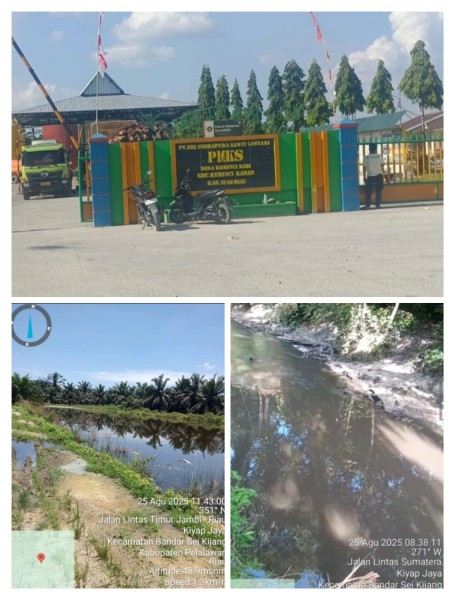 Sungai Kiyap Jaya Tercemar Limbah Dari Pabrik PT. SISL