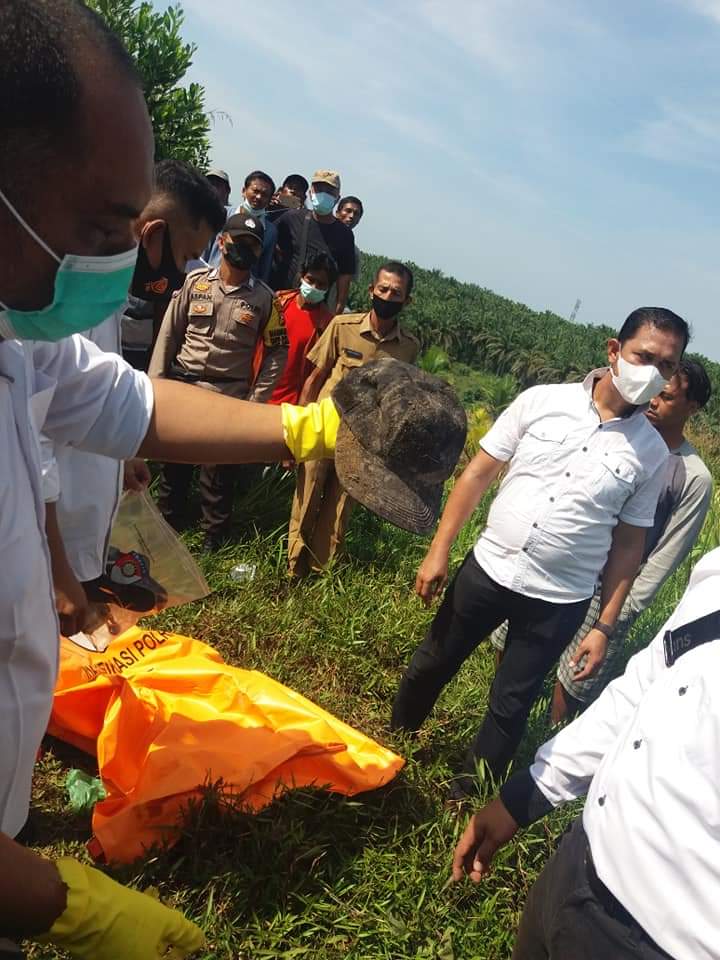 Mayat Tinggal Tulang Belulang Ditemukan di Jalintim Kilometer 55 Pelalawan