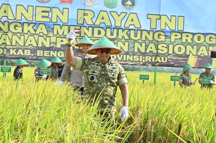 Kodam XIX Tuanku Tambusai Gelar Panen Raya di Bengkalis, Kasdam Ikuti Vidcon Bersama Presiden RI