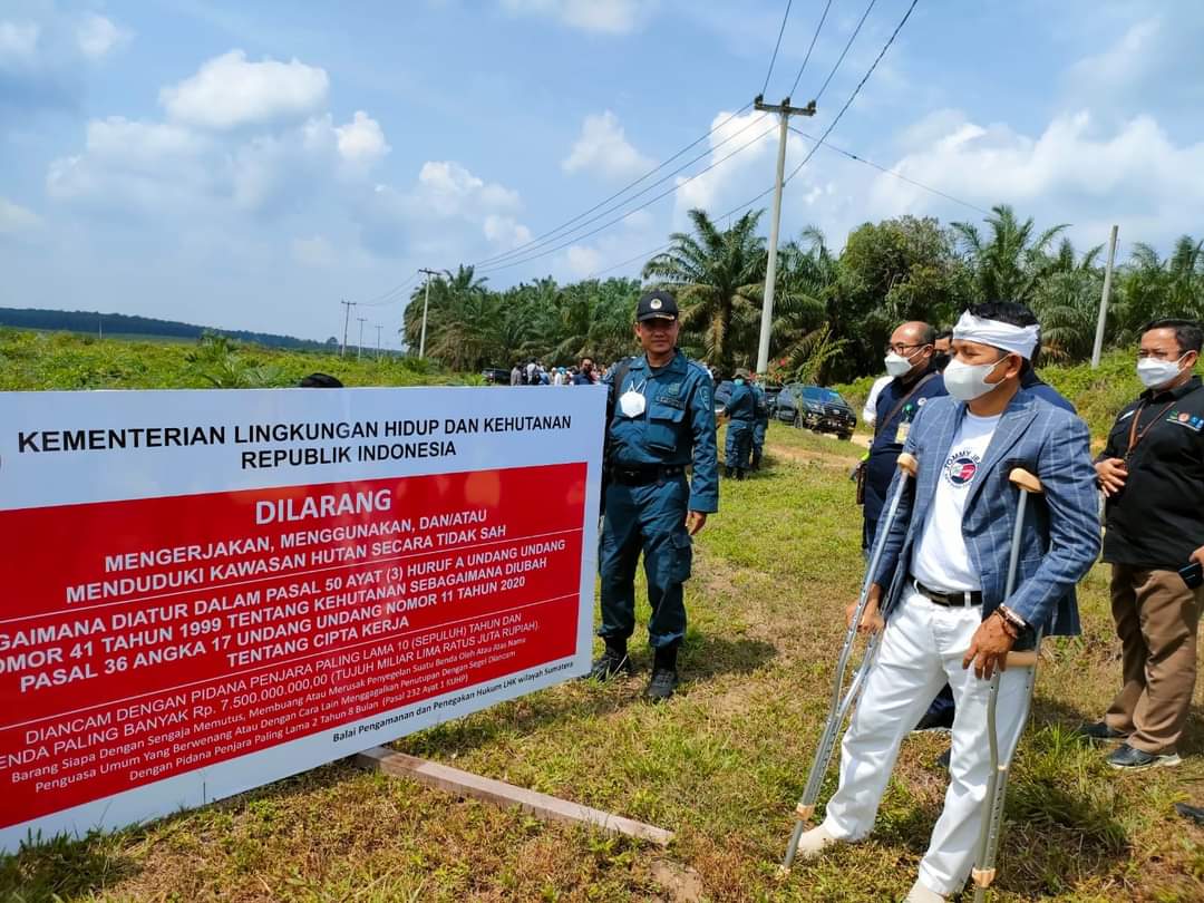 Dikuasai Selama 25 Tahun, Komisi IV DPR RI Tinjau Kebun Sawit Ilegal PT Guna Dodos Seluas 884 Hektar