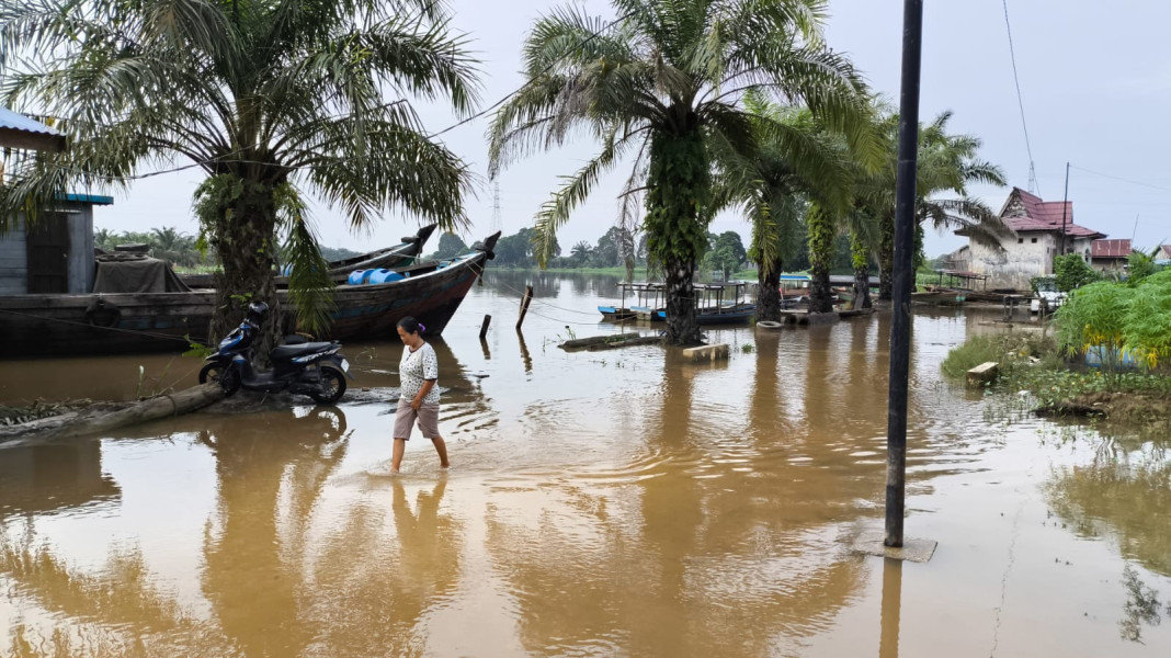 Intensitas Hujan Tinggi, Sungai Kampar di Pelalawan Mulai Meluap