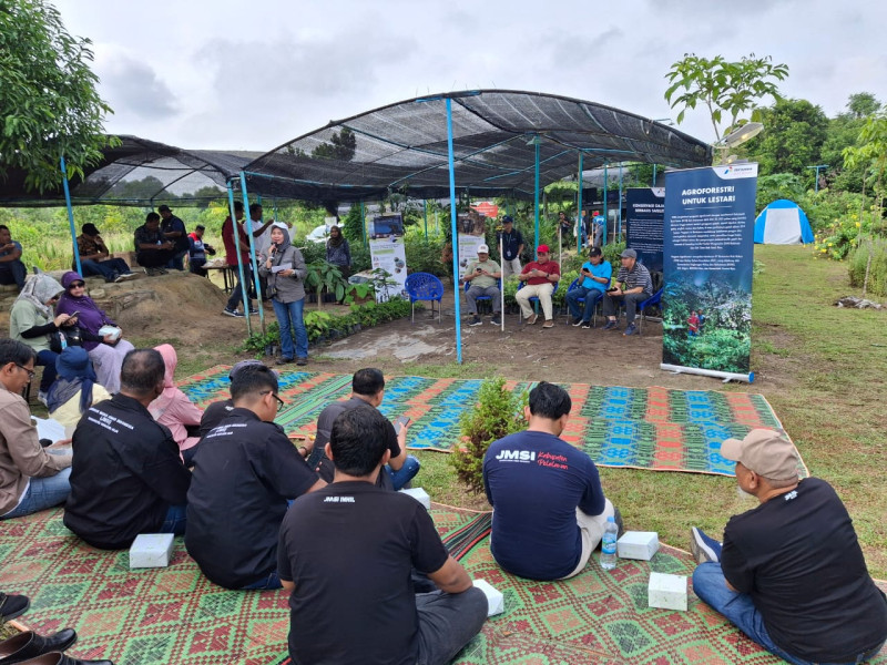 JMSI Riau Kunjungi Pusat Pembibitan Agroforestri Mitra PHR di Pematang Pudu