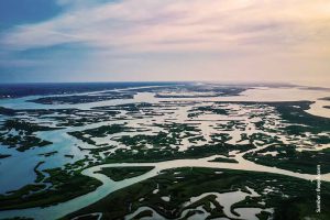 Platform Baru BRG Mangrove Solusi Atasi Perubahan Iklim, Bencana Ekologis dan Kesejahteraan Masyarakat