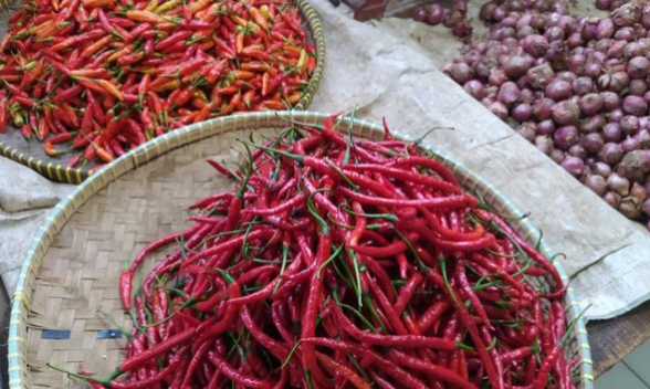 Harga Cabai dan Bawang Merah di Pangkalan Kerinci Melonjak Pasca Bencana di Sumatera Barat