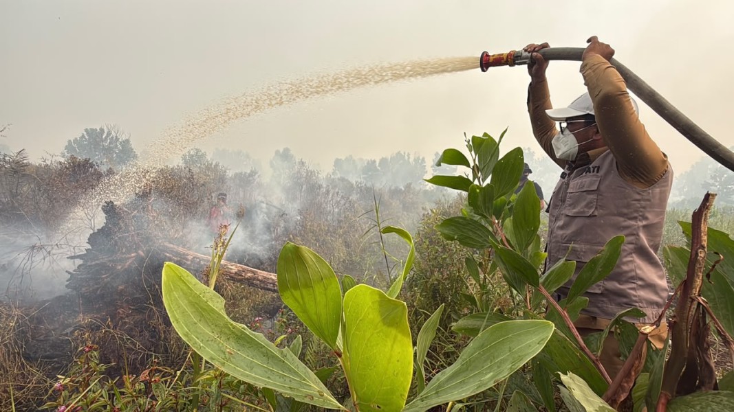 Bupati Zukri Turun Langsung, Karhutla Dekati Pusat Kota Pangkalan Kerinci