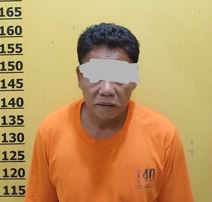 Bakar Hutan Gambut untuk Kebun Sawit, Pria di Kerumutan Diciduk Polisi