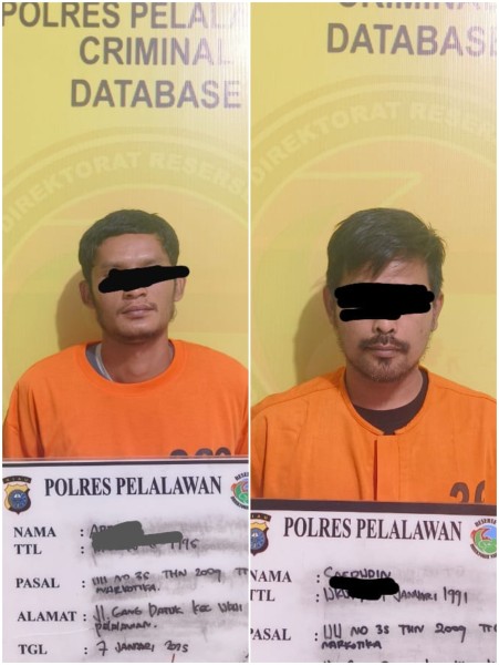 Satresnarkoba Polres Pelalawan Bongkar Jaringan Sabu Perawang–Ukui, Dua Tersangka Diamankan