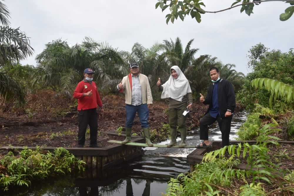 Pelalawan Termasuk 4 Kabupaten yang Akan Dibangun Canal Blocking dari BRG