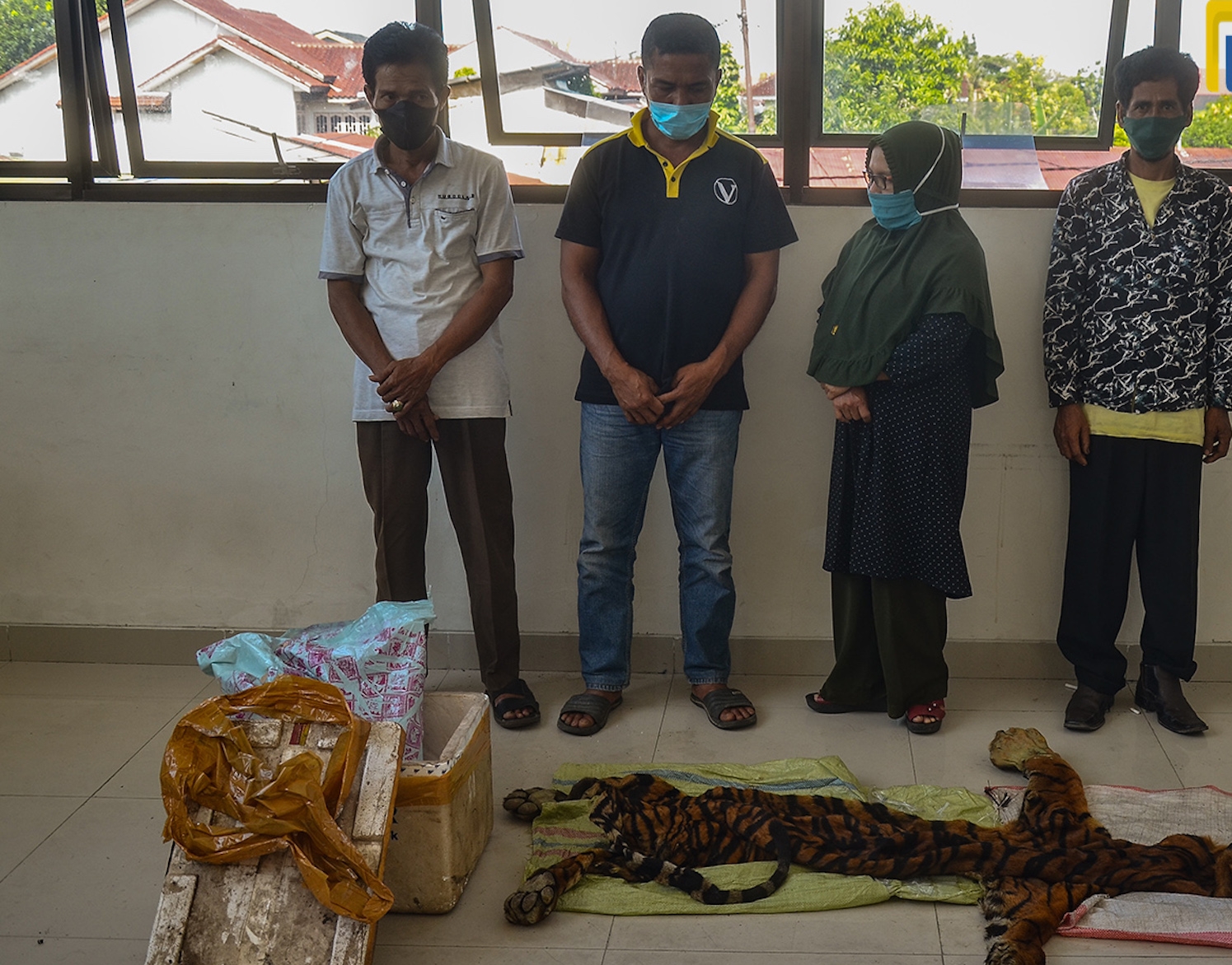 Empat Warga Sumatera Barat Ditangkap Terkait Perdagangan Kulit Harimau