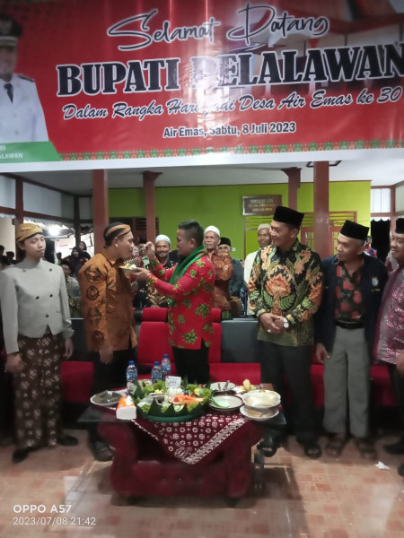 HUT Ke 30 Desa Air Emas, Bupati Pelalawan Saksikan Pergelaran Wayang dihadiri Ratusan Masyarakat