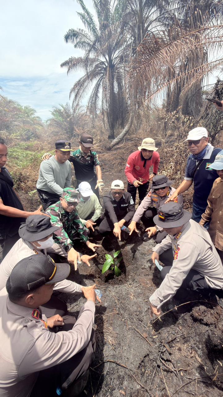 Bupati Zukri Tinjau Langsung Titik Karhutla di Teluk Meranti, Tegaskan Komitmen Penanganan Terpadu
