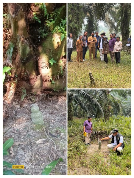 Warga Dua Desa di Siak Berjuang Pertahankan Tanah Leluhur yang Dikuasai PTPN IV, Komisi II DPRD Siak Turun ke Lokasi