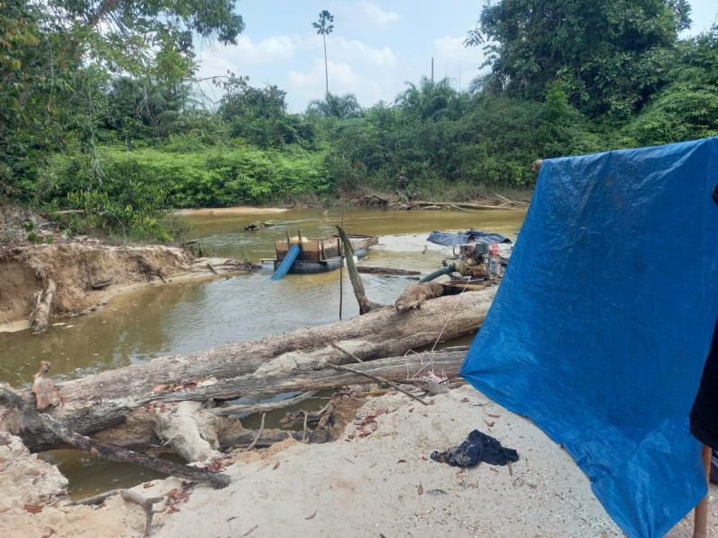 Polisi Gerebek PETI di Hutan Ukui, Lima Penambang Emas Ilegal Ditangkap, Dua Masih di Bawah Umur