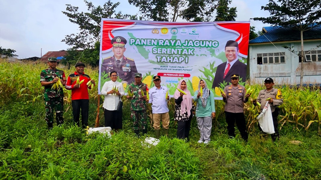 Dukung Asta Cita Presiden, Polsek Bersama Pemdes Makmur Laksanakan Panen Jagung Perdana