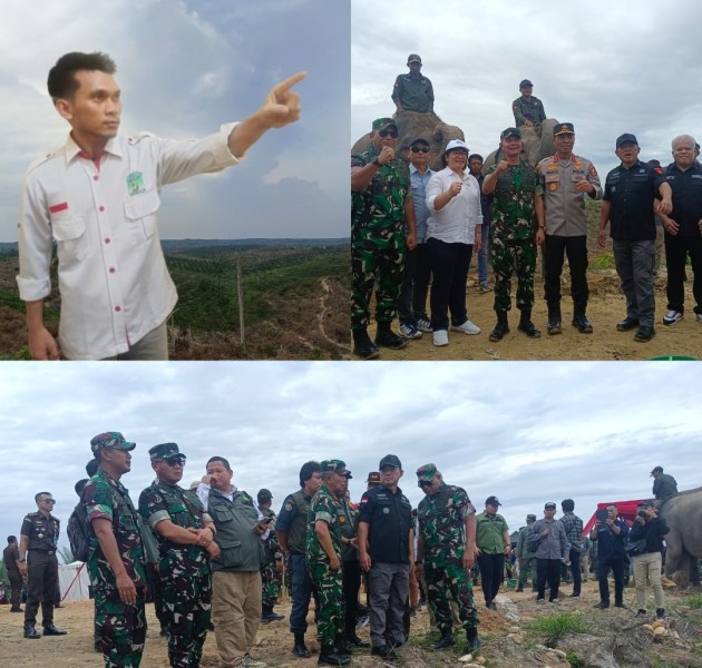 Biang Kerusakan Hutan Konservasi, KAMMI Desak Satgas PKH Tindak Tegas PT PSJ Tadah TBS Ilegal Dari TNTN