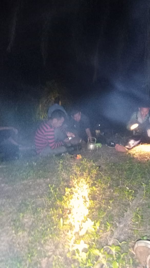 Hingga Subuh, Warga Desa Rantau Baru Bawah Usir Kawanan Gajah Liar