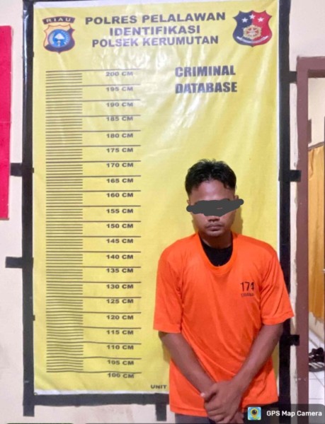 Polsek Kerumutan Amankan Pelaku Pencurian Sawit di Tanjung Air Hitam