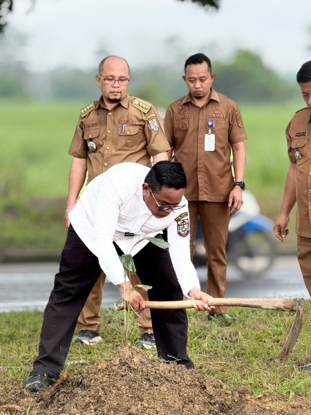 Bupati Zukri Pimpin Penanaman Pohon Aren di Pangkalan Kerinci, Siapkan Kota Hijau dan Sumber Ekonomi Baru