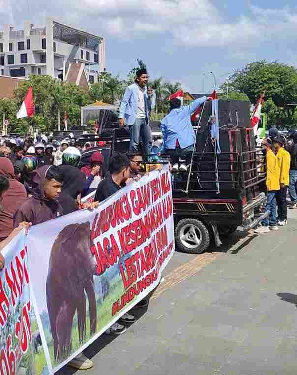 Massa Mendesak Pemprov Riau, AMPH-Gajah Sumatra Dukung Satgas PKH Kembalikan TNTN